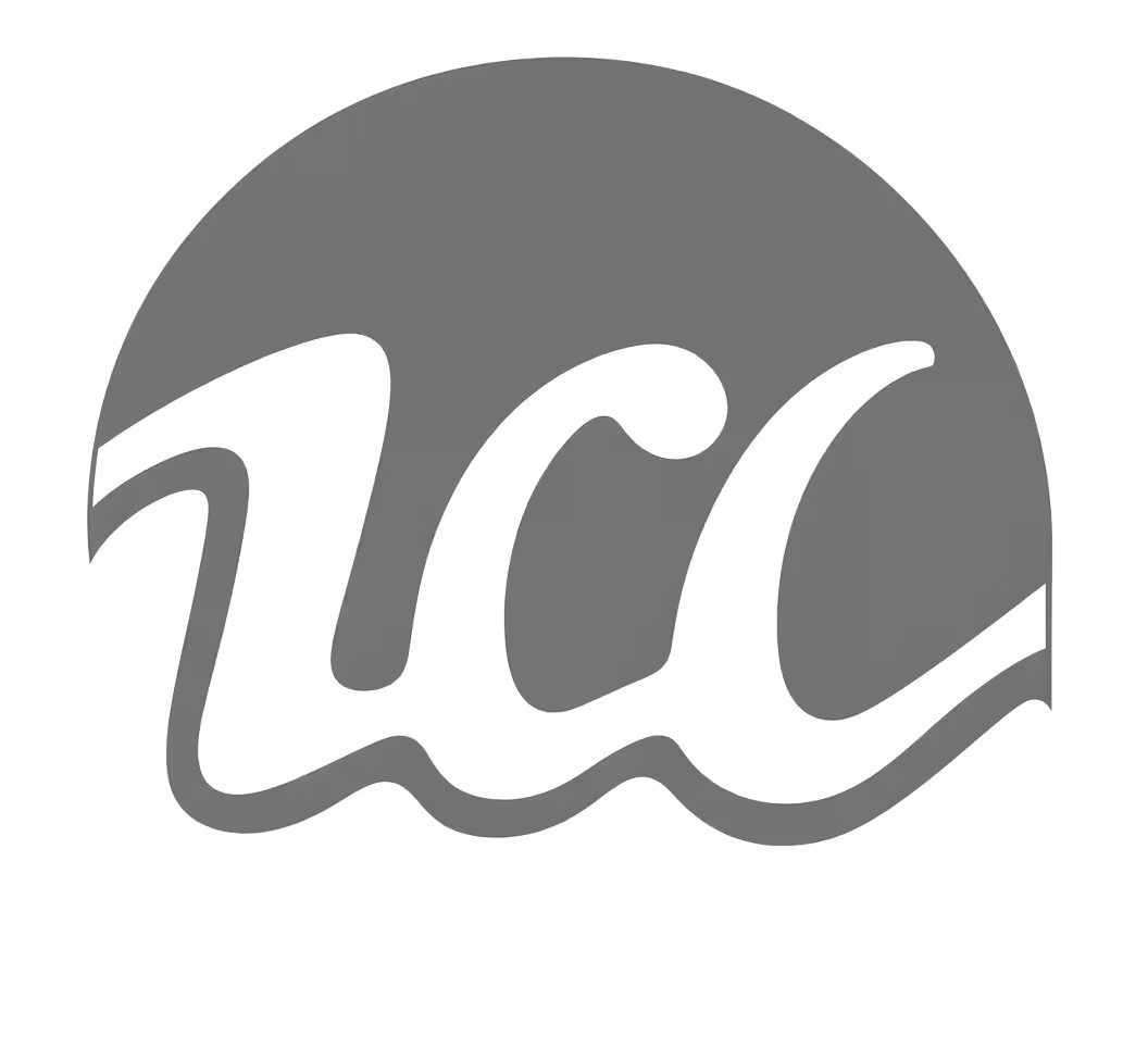 Ziauddin Ahmed & Co. logo